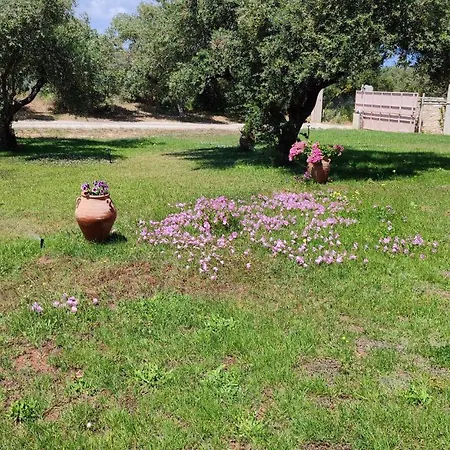 Vakantiehuis Cozy With Garden